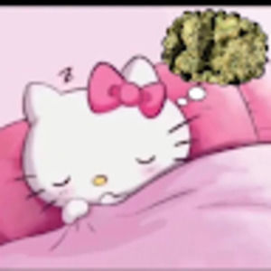 Meet your Posher, Keilee